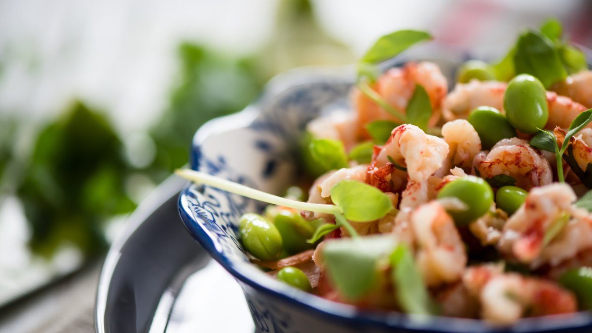 Proteinrik sallad - Atkinsdieten fokuserar på protein och fett