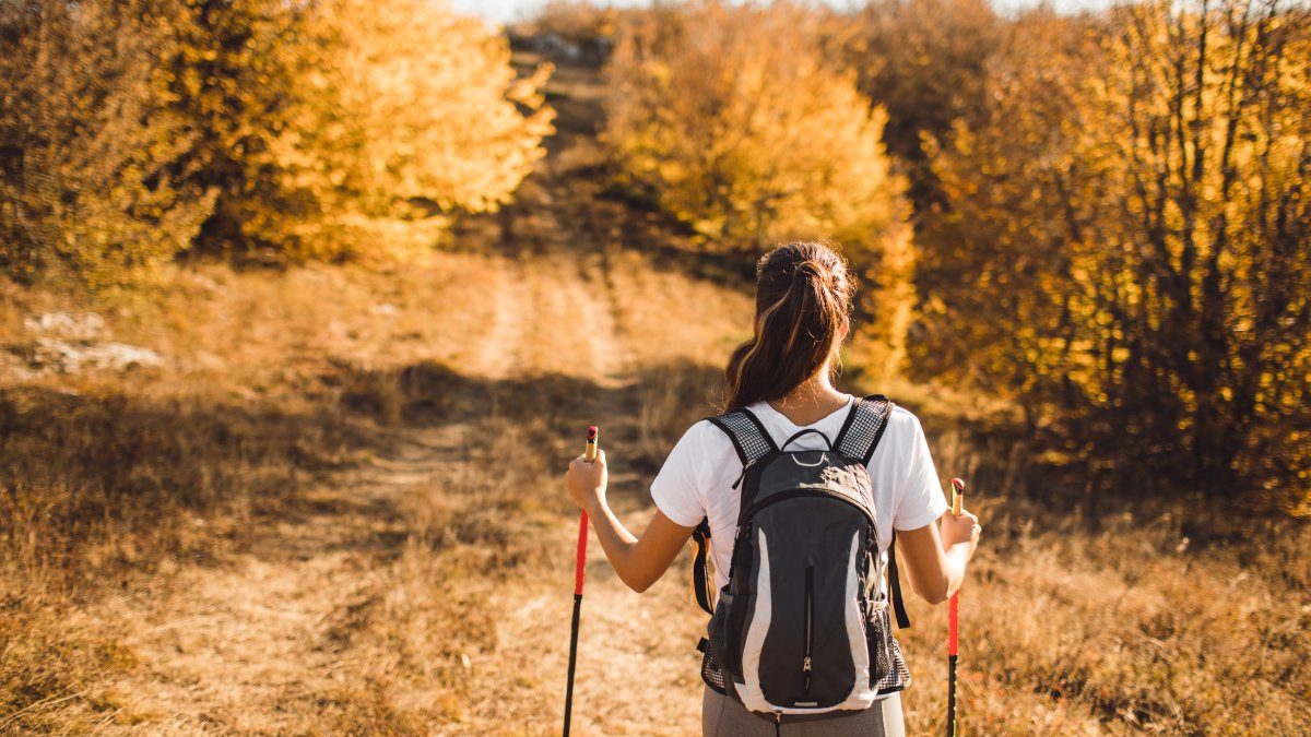 Par går promenad i naturen för hälsa och viktminskning